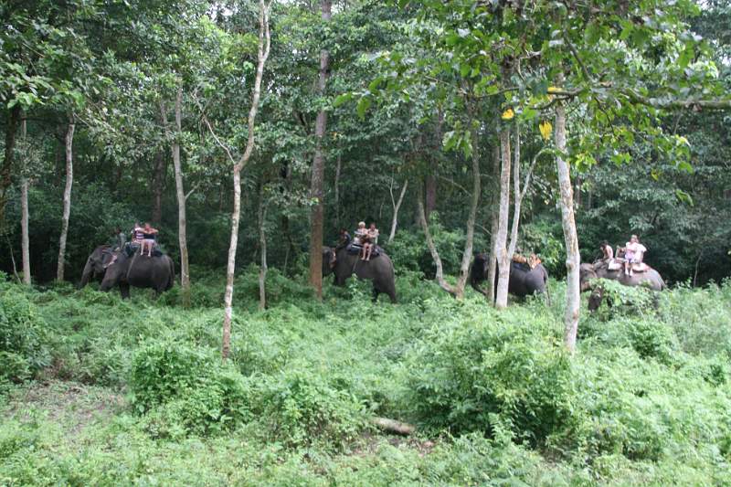 India & Nepal 2011 - 0554